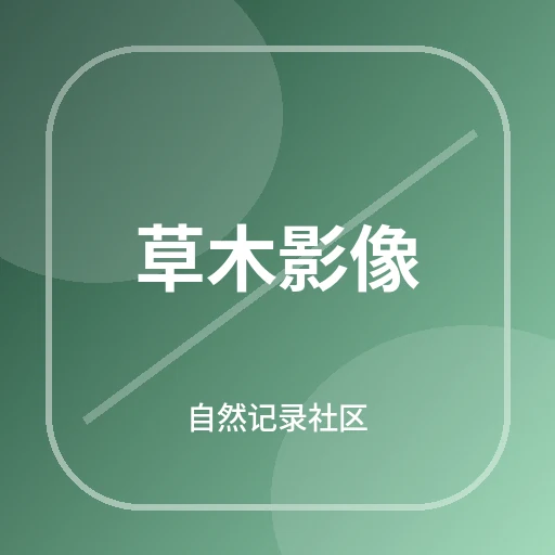 草木影像